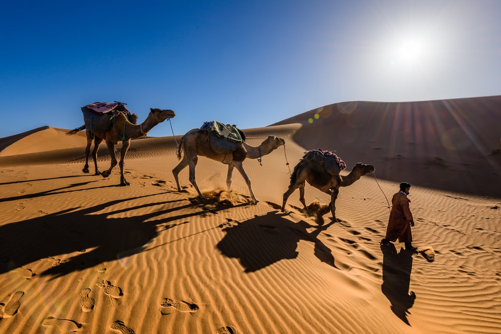 attività nel deserto del Marocco